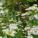 Weingut Will Und Wuerz Lemberger 아파트 Schwaigern