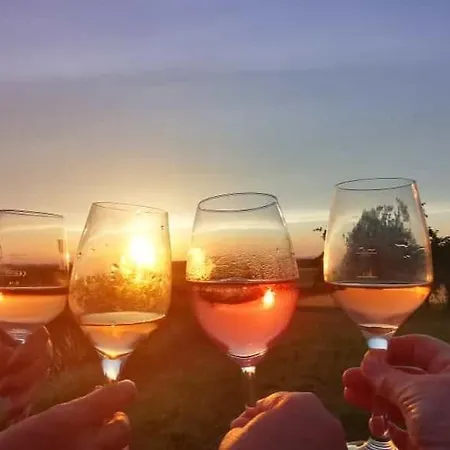 Lägenhet Weingut Will Und Wuerz Lemberger Schwaigern