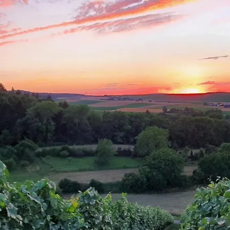 Lägenhet Weingut Will Und Wuerz Lemberger *