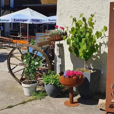 Weingut Will Und Wuerz Lemberger Apartment *