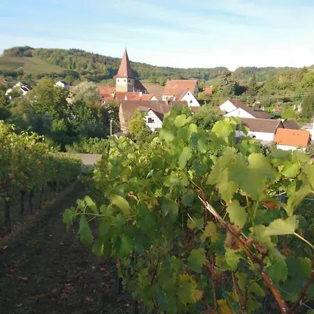Weingut Will Und Wuerz Lemberger *